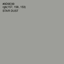 #9D9E99 - Star Dust Color Image